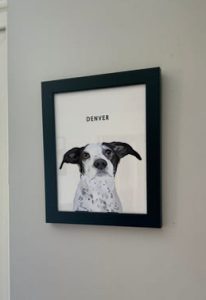 Custom Modern Pet Portraits photo review