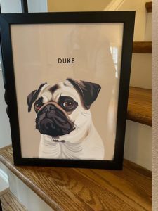 Custom Modern Pet Portraits photo review