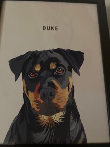 Custom Modern Pet Portraits photo review