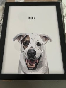 Custom Modern Pet Portraits photo review